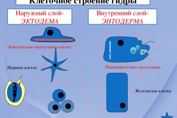 Как восстановить аккаунт кракен