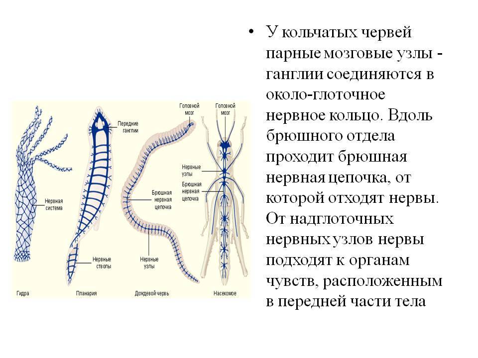 Зеркало вход кракен